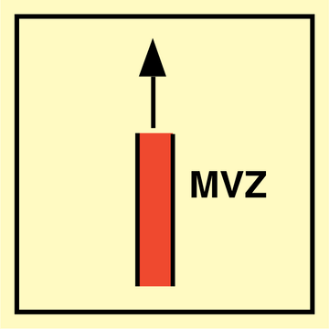 Main Vertical zone MVZ